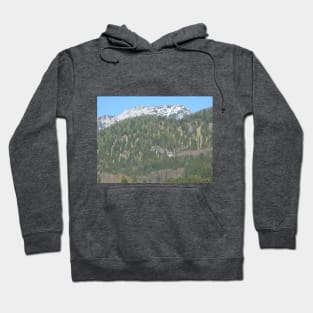 Alps 20 Hoodie